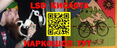 гашик Кунгур