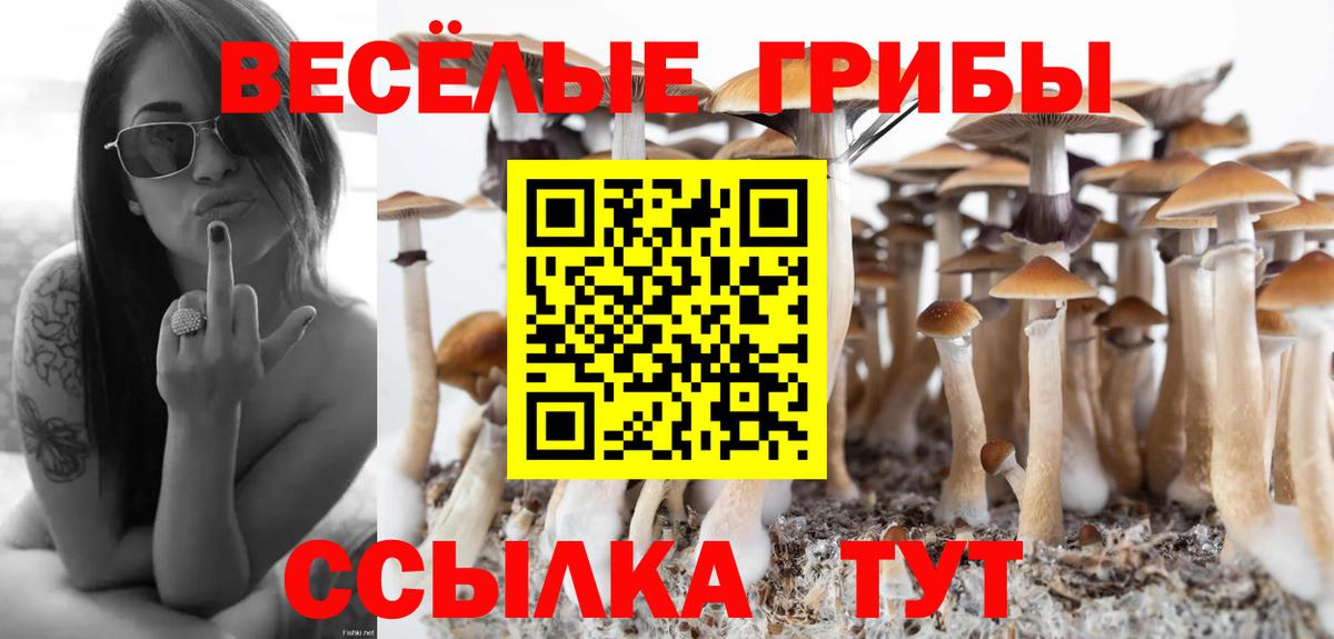 Галлюциногенные грибы ЛСД Ижевск